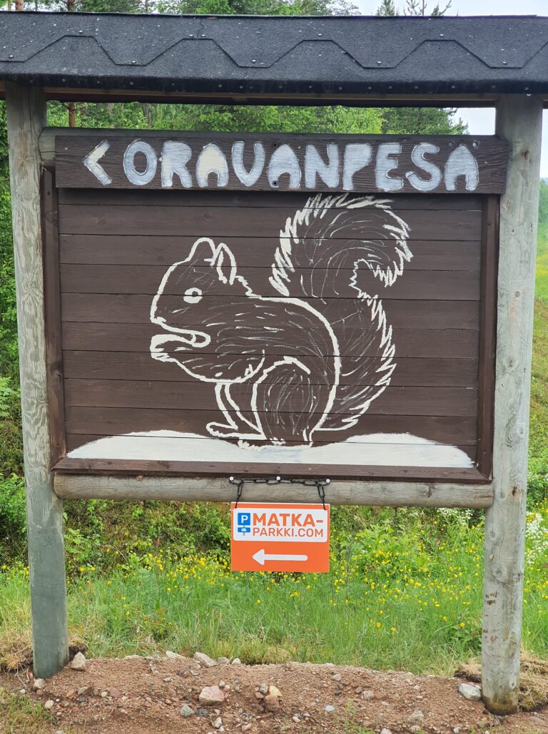 Oravanpesän matkaparkki SÄHKÖPAIKAT